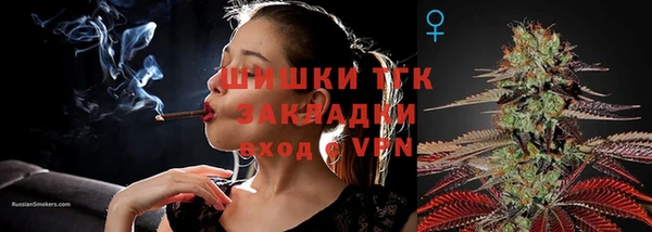 ПСИЛОЦИБИНОВЫЕ ГРИБЫ Вязьма