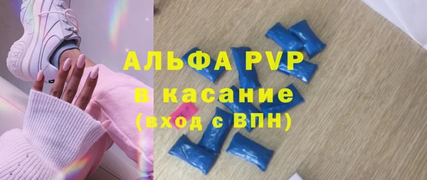 ПСИЛОЦИБИНОВЫЕ ГРИБЫ Вязьма