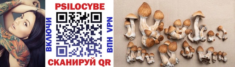 Галлюциногенные грибы Psilocybine cubensis Зима